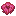 Rose Dye