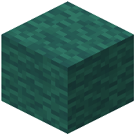 Teal Wool