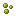 Jungle Spores
