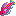 Rainbow Wrasse