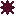 Sea Urchin