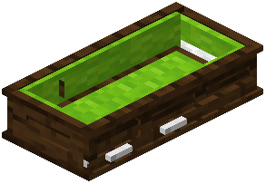 Lime Coffin