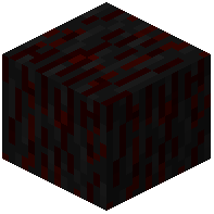 Cursed Wood