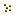 Lentil Seeds