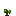Red Grape Cutting