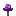 Thunder Fungus