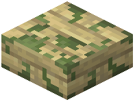 Mossy Birch Slab