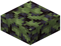 Mossy Blackstone Slab