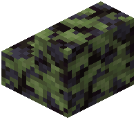 Mossy Blackstone Stairs