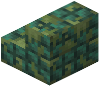 Mossy Dark Prismarine Stairs