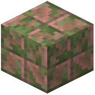 Mossy Exposed Cut Copper