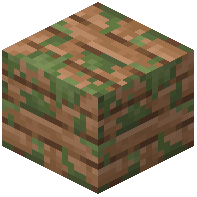Mossy Jungle Planks