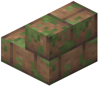 Mossy Mud Brick Stairs