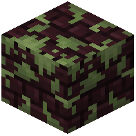 Mossy Nether Bricks