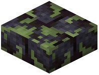 Mossy Polished Blackstone Brick Slab