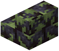 Mossy Polished Blackstone Brick Stairs