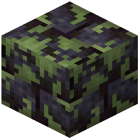 Mossy Polished Blackstone Bricks