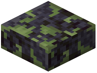 Mossy Polished Blackstone Slab