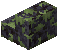 Mossy Polished Blackstone Stairs