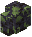 Mossy Polished Blackstone Wall