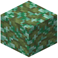 Mossy Prismarine