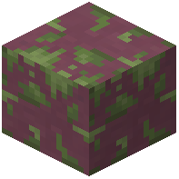 Mossy Purple Terracotta