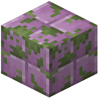 Mossy Purpur Block