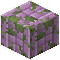 Mossy Purpur Pillar