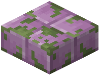 Mossy Purpur Slab