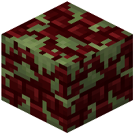 Mossy Red Nether Bricks