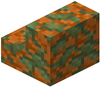 Mossy Red Sandstone Stairs