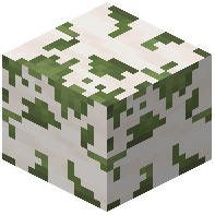 Mossy Smooth Quartz Block