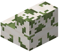 Mossy Smooth Quartz Stairs