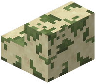 Mossy Smooth Sandstone Stairs