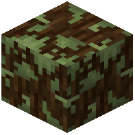 Mossy Spruce Log