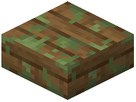 Mossy Spruce Slab