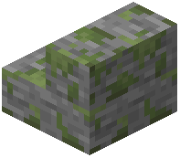 Mossy Stone Stairs