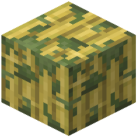 Mossy Stripped Bamboo Block