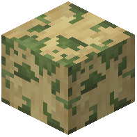 Mossy Stripped Birch Log