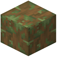 Mossy Stripped Spruce Log