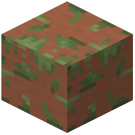 Mossy Terracotta