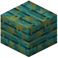 Mossy Warped Planks