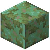 Mossy Weathered Copper