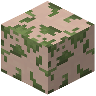 Mossy White Terracotta