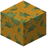 Mossy Yellow Terracotta