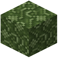Green Moquette