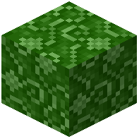 Lime Moquette
