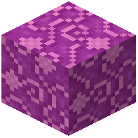 Magenta Moquette