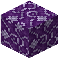 Purple Moquette