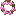 Spring Wreath